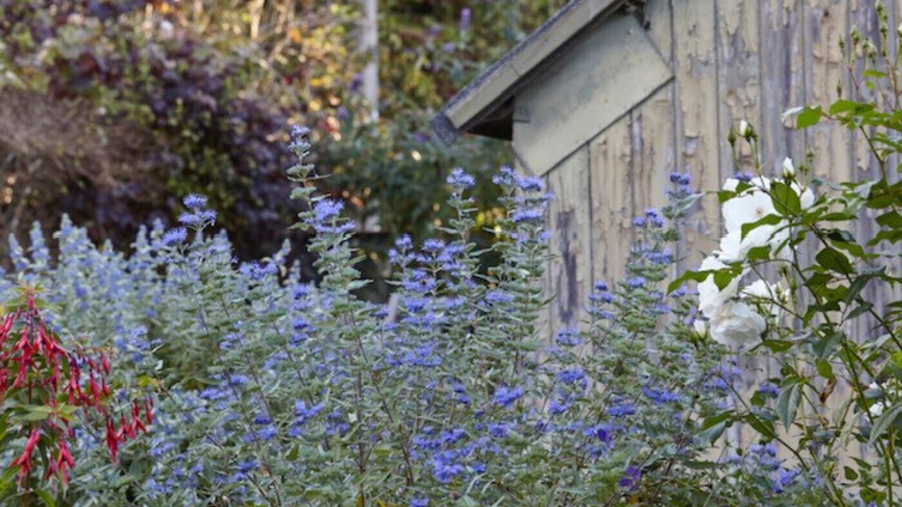 Photo of Others in Beer