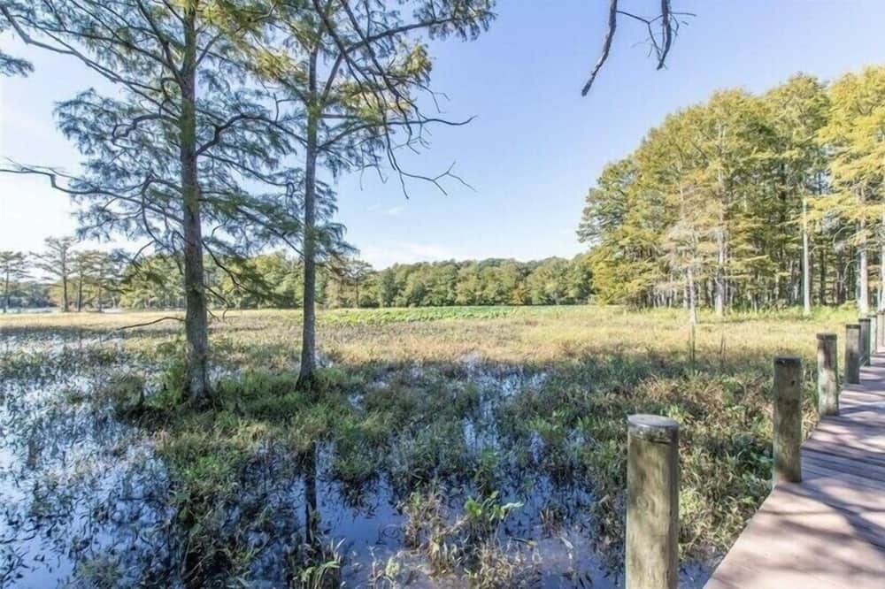 Photo of Outdoor in Stonehouse