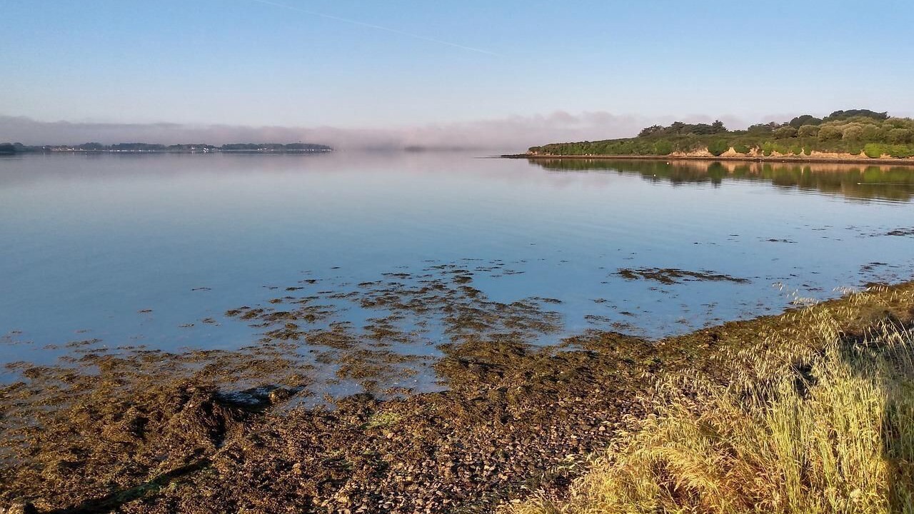 Photo of Others in Plescop