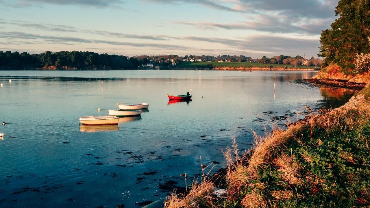 Photo of Others in Plescop