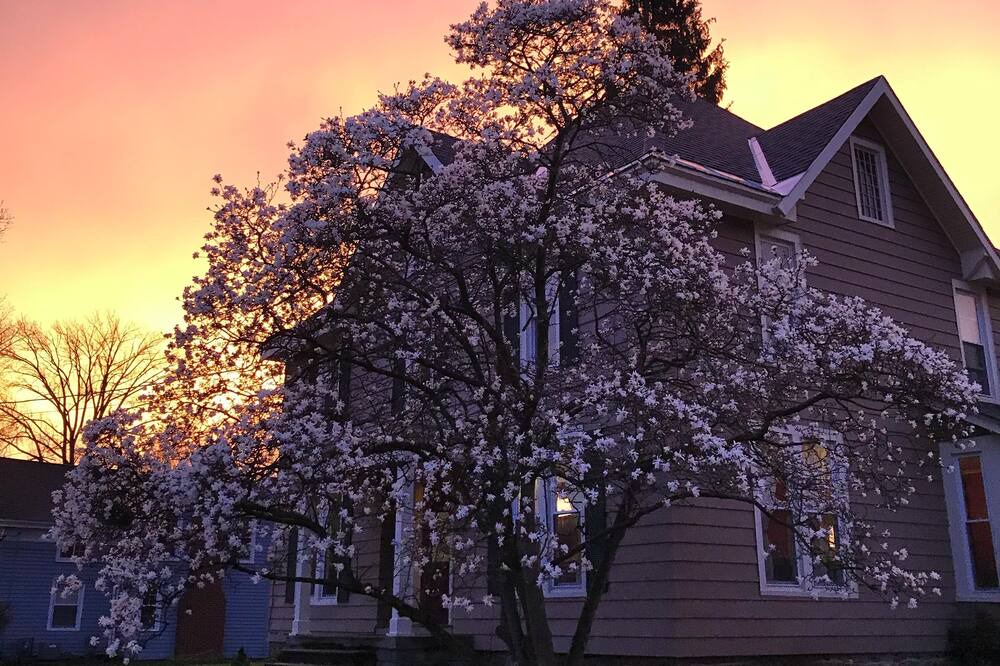 Photo of Outdoor in Hamilton