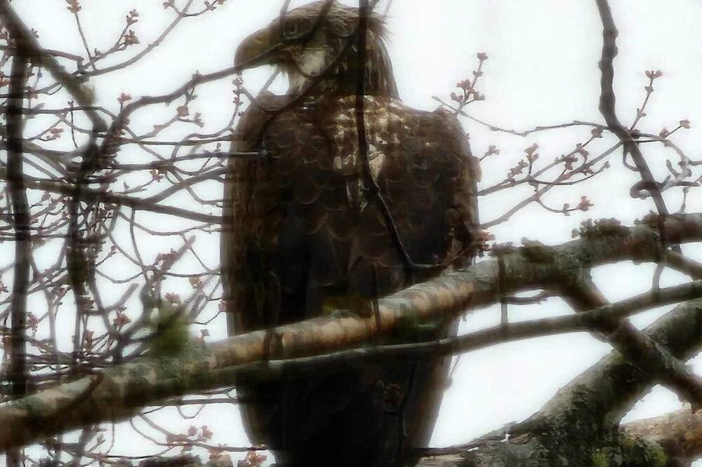 Photo of Others in Franklin