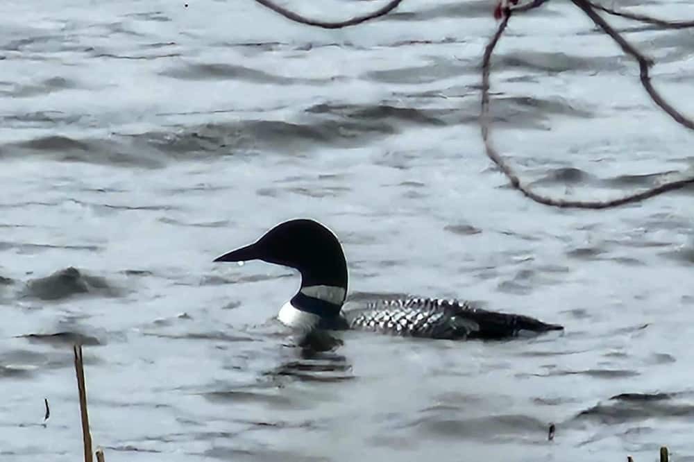 Photo of Others in Franklin