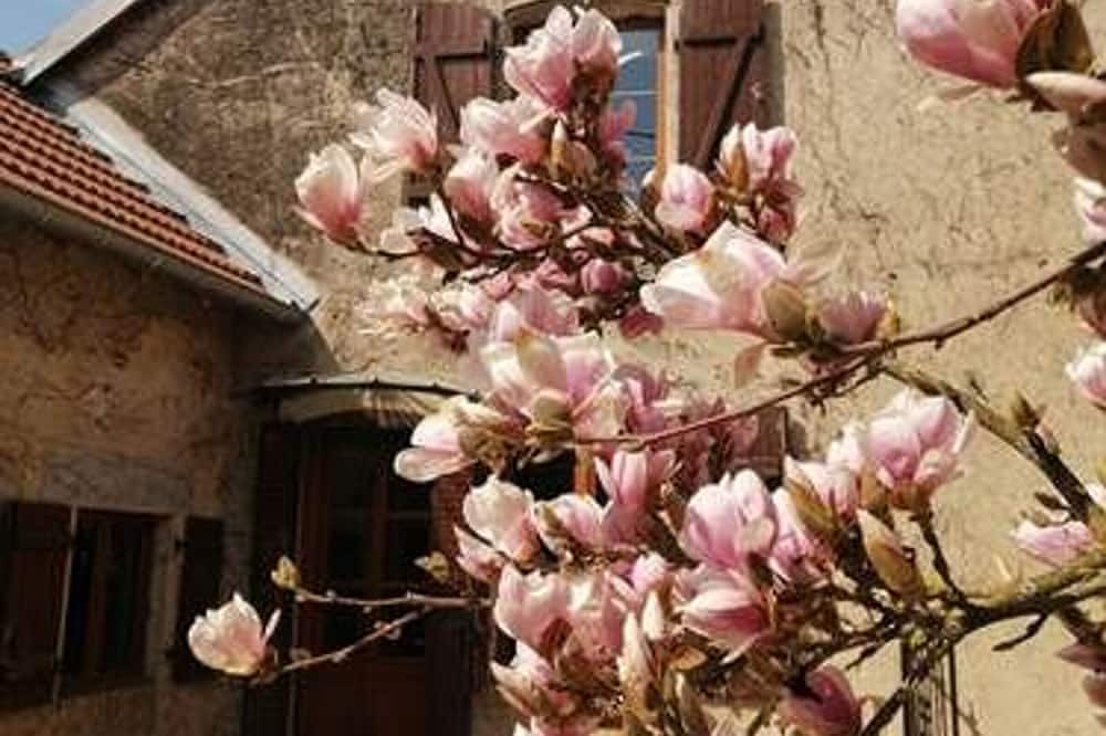 Photo of Others in Cusey