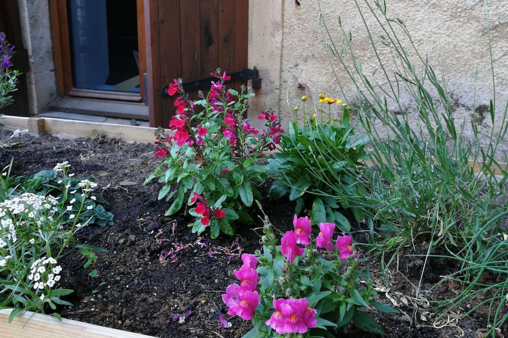 Photo of Outdoor in Cusey