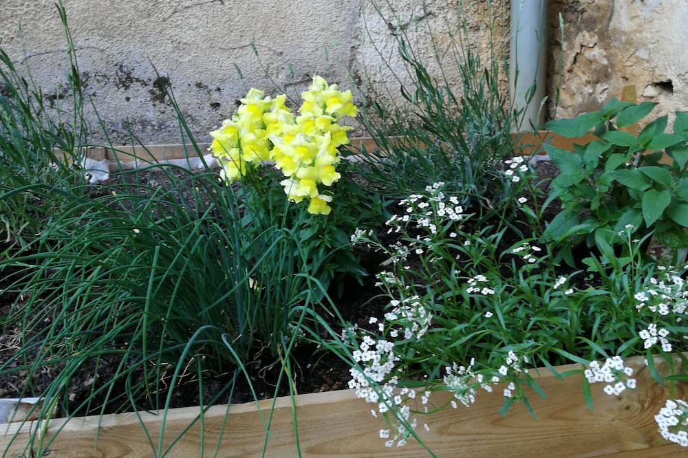 Photo of Outdoor in Cusey