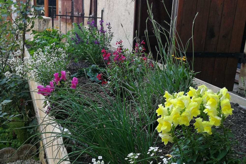 Photo of Outdoor in Cusey