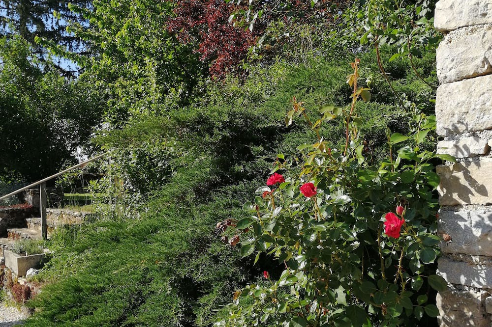 Photo of Outdoor in Cusey