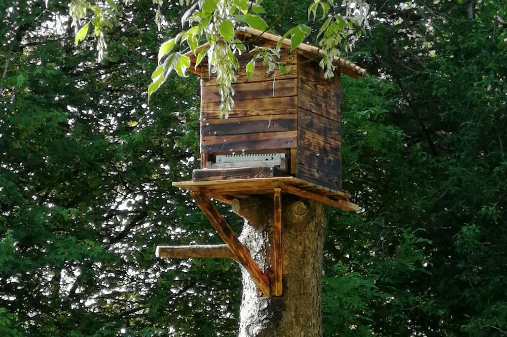 Photo of Outdoor in Cusey