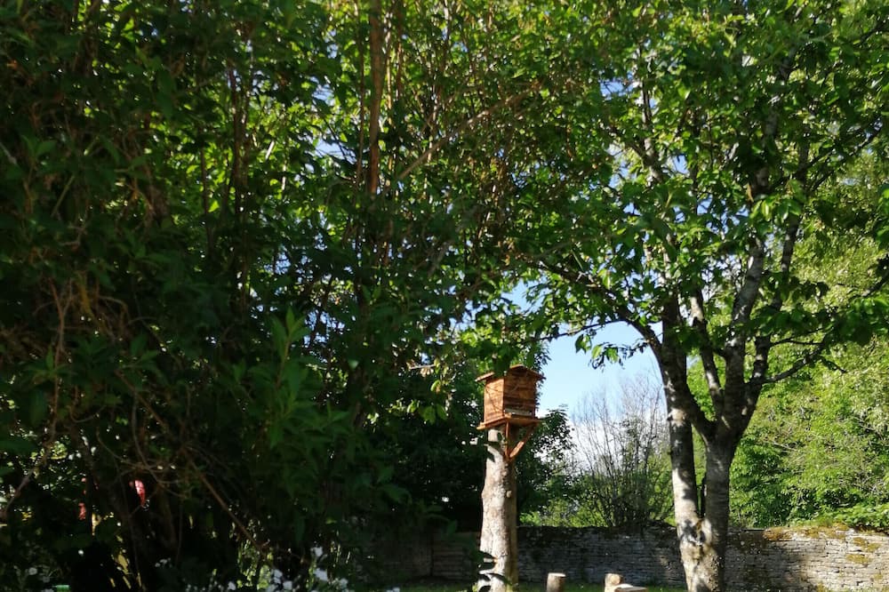 Photo of Outdoor in Cusey