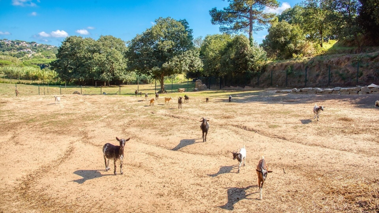 Photo of Outdoor in Urbanizacion El Mas Reixac