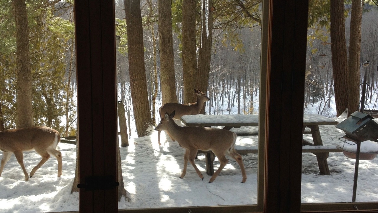 Photo of Others in Newaygo