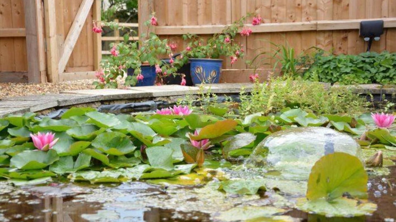 Photo of Others in Sudbourne