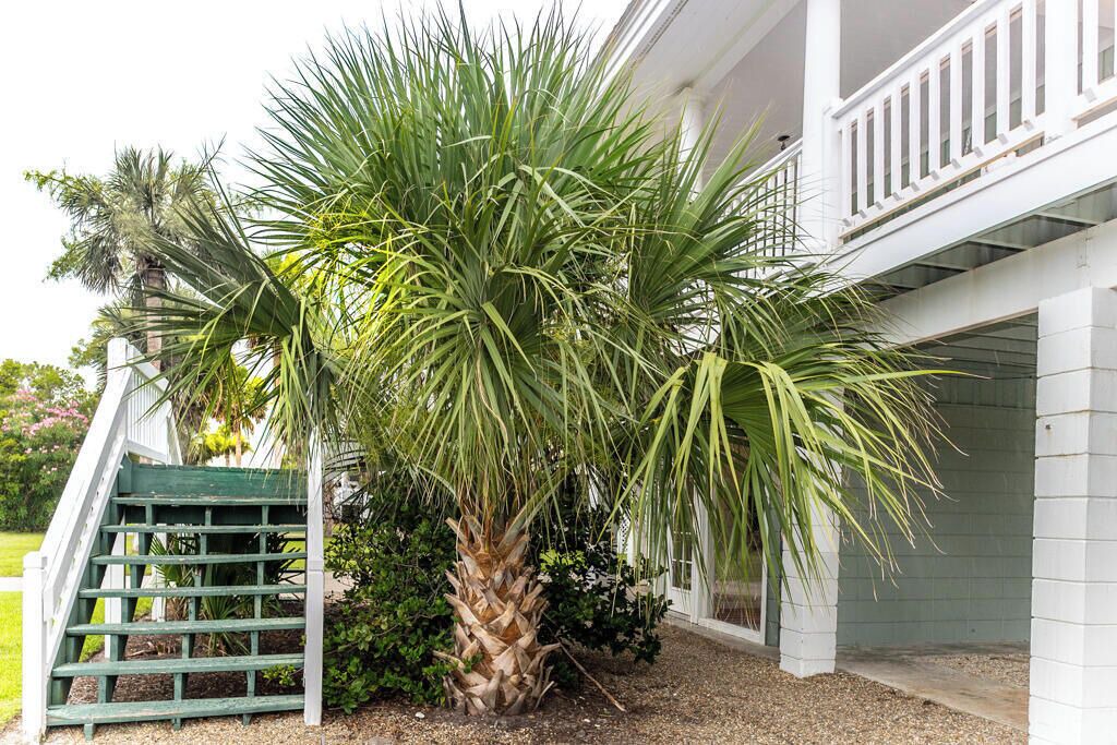 Photo of Outdoor in Saint Helena Island