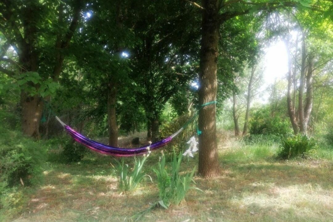 Photo of Others in Arnage