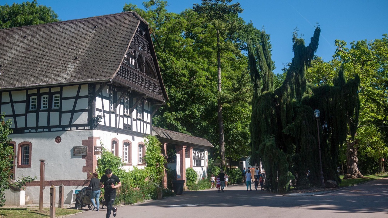 Photo of Outdoor in Haussonville-Blandan-Mon Desert-Saurupt