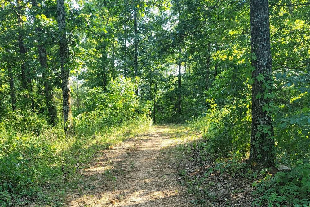 Photo of Outdoor in Gatewood