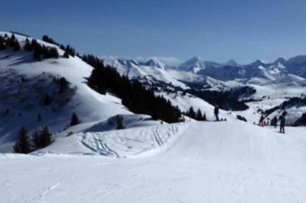 Photo of Others in Zweisimmen