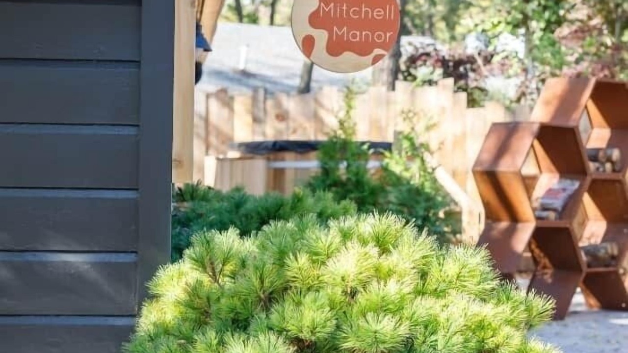 Photo of Outdoor in Woodstock