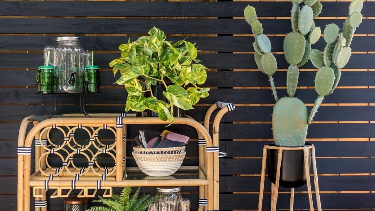 Photo of Outdoor in Woodstock