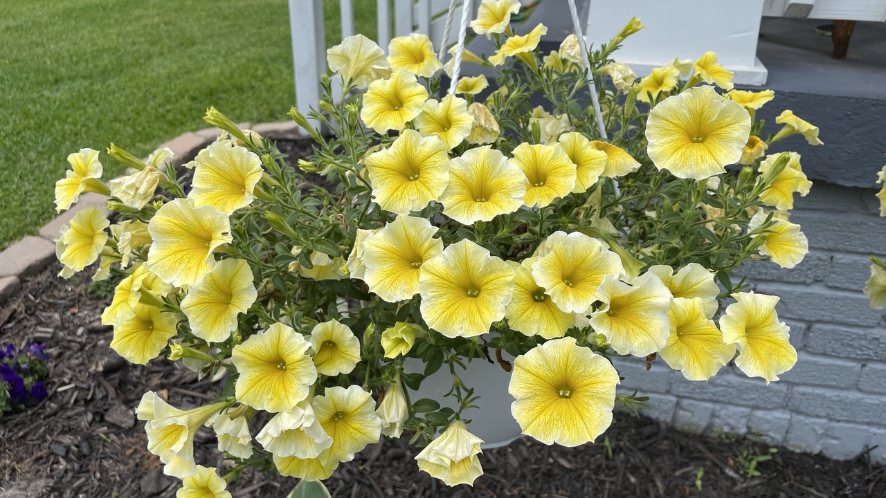 Photo of Outdoor in Grand Saline