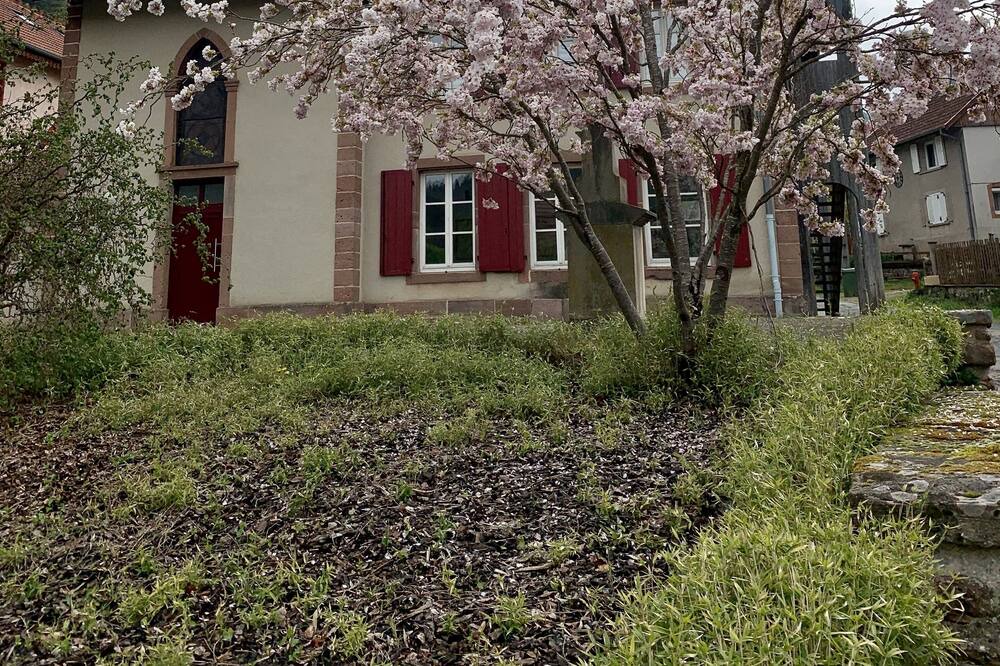 Photo of Outdoor in Abreschviller