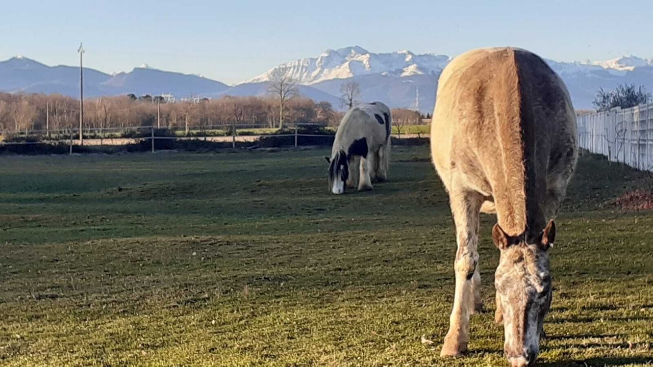 Photo of Others in Boudrac