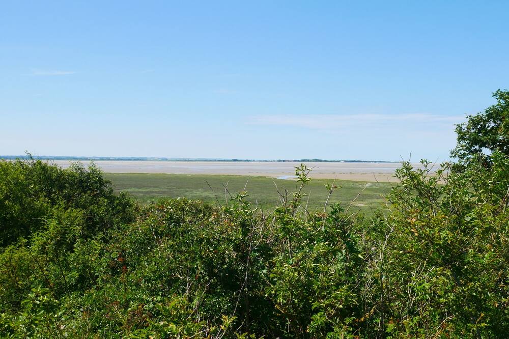 Photo of Others in Saint-Quentin-en-Tourmont