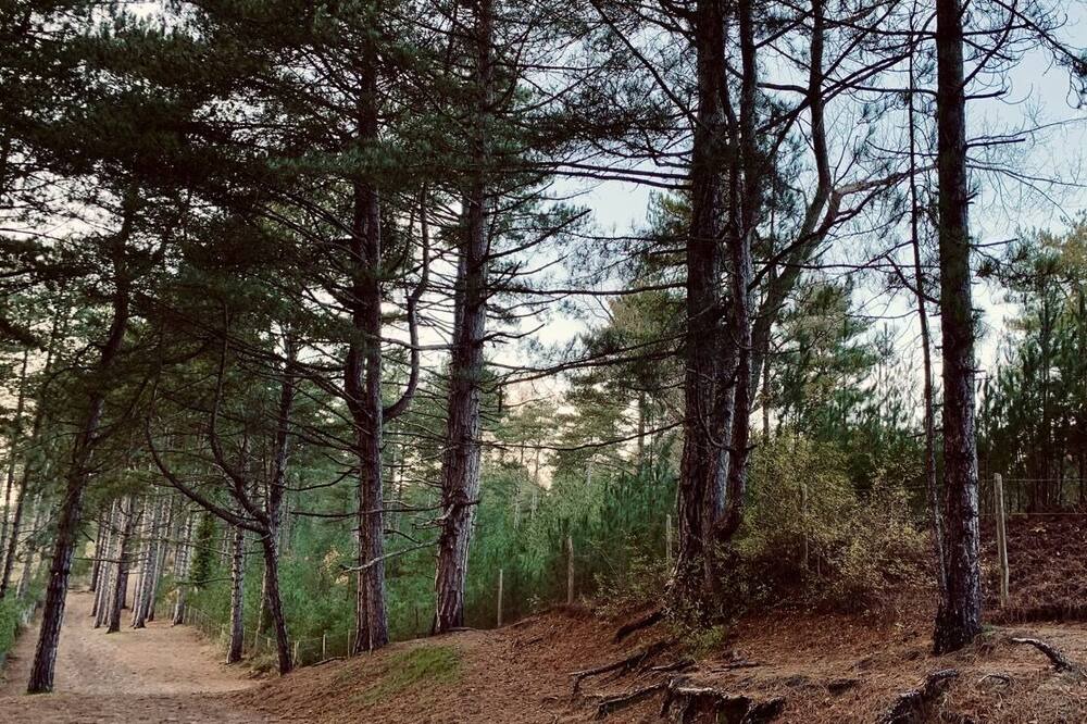 Photo of Outdoor in Saint-Quentin-en-Tourmont