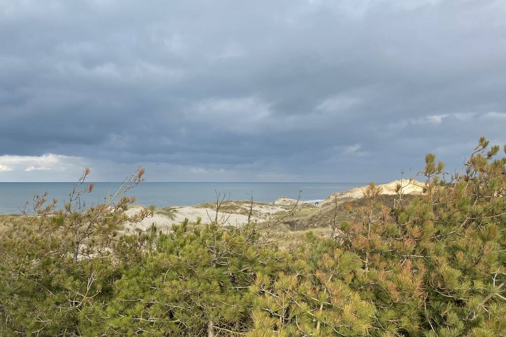 Photo of Others in Saint-Quentin-en-Tourmont
