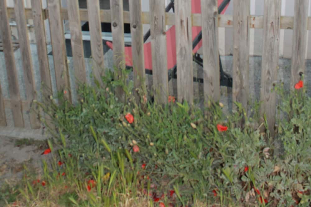 Photo of Others in Hauteville-sur-Mer