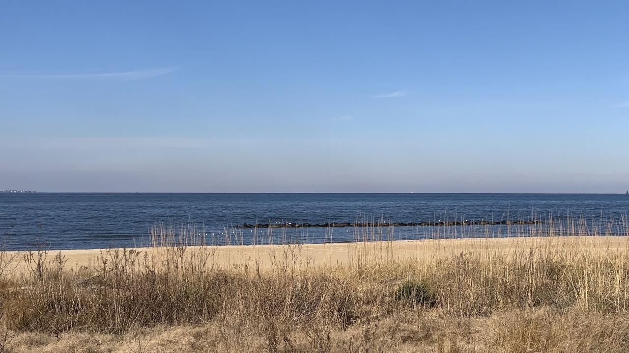 Photo of Others in Willoughby Spit