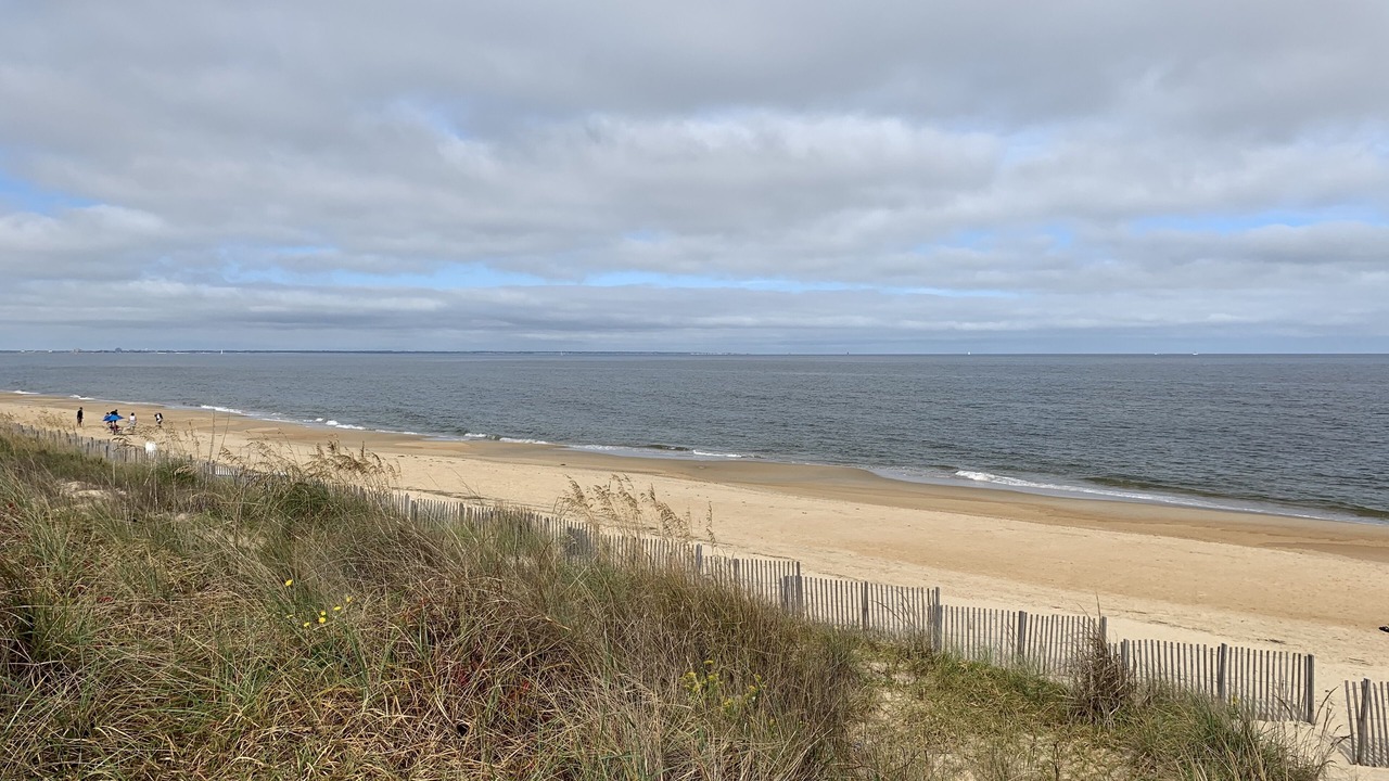 Photo of Others in Willoughby Spit
