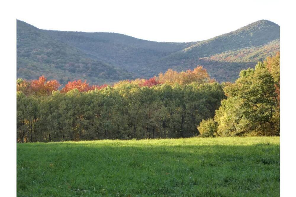 Photo of Outdoor in Williamstown