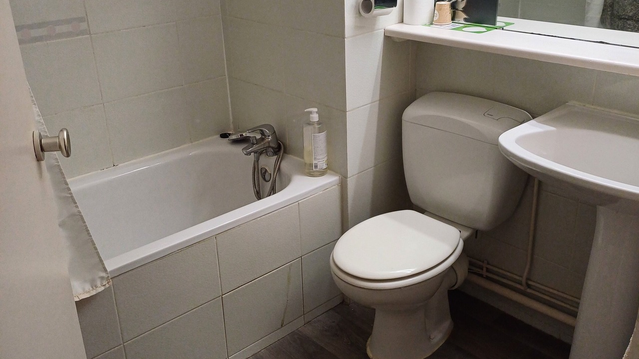 Photo of Bathroom in Trebes