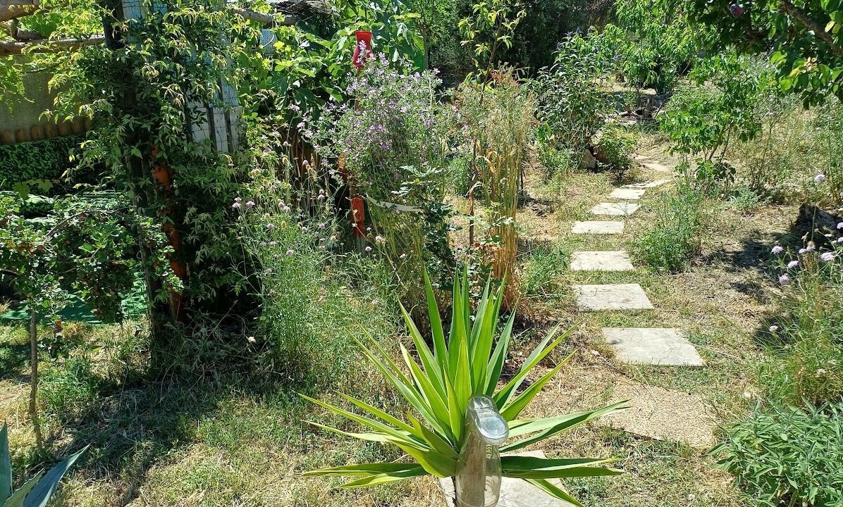 Photo of Outdoor in Trebes