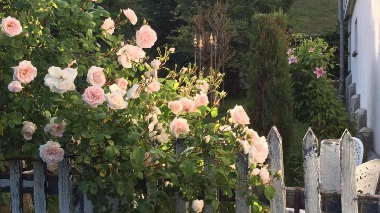 Photo of Outdoor in Gais