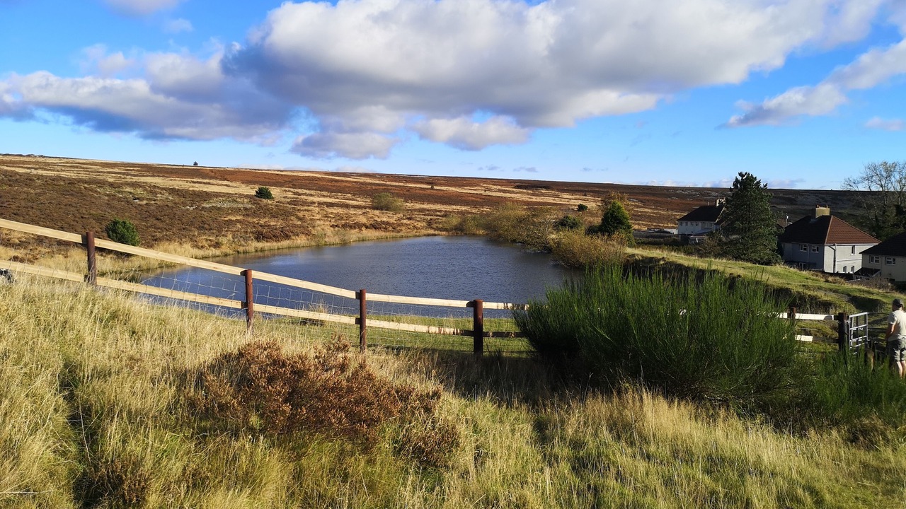 Photo of Others in Blaenavon