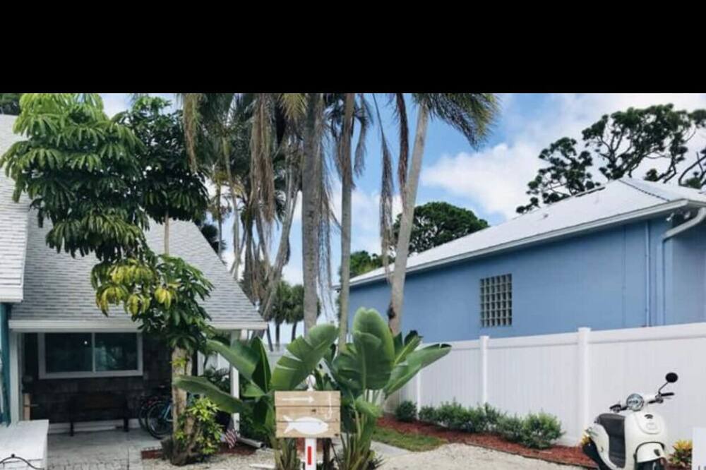Photo of Others in Tropic
