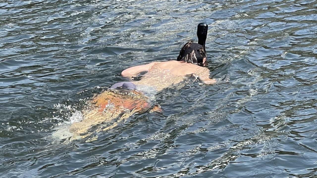 Photo of Others in Treasure Lake