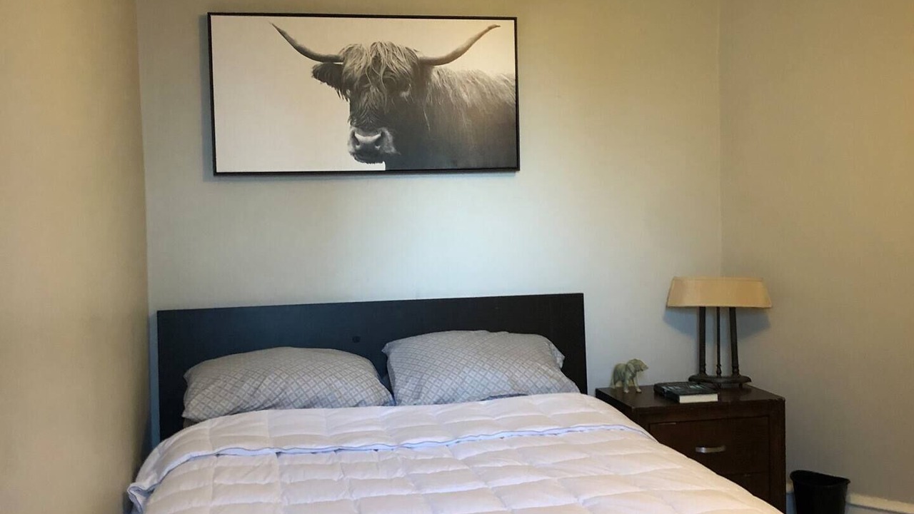 Photo of Others in East Mount Airy