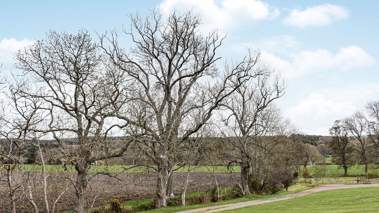 Photo of Outdoor in Kiltarlity
