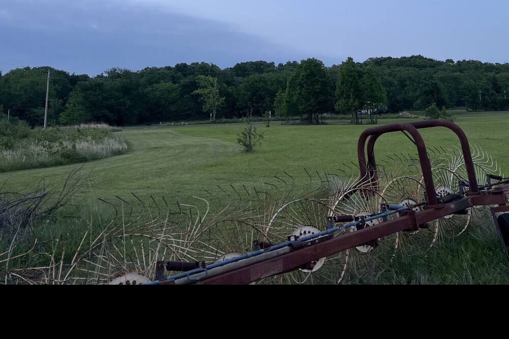 Photo of Others in Durant