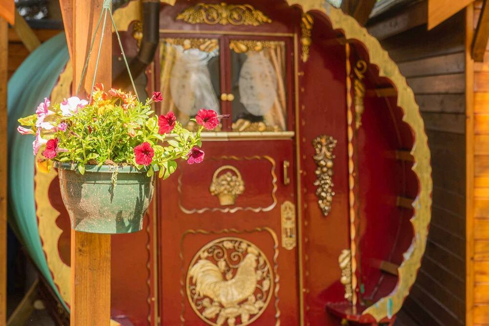 Photo of Others in Guyhirn