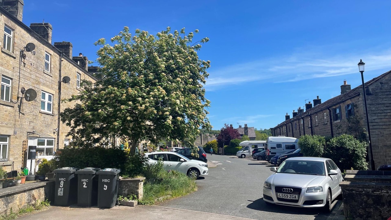 Photo of Others in Summerbridge