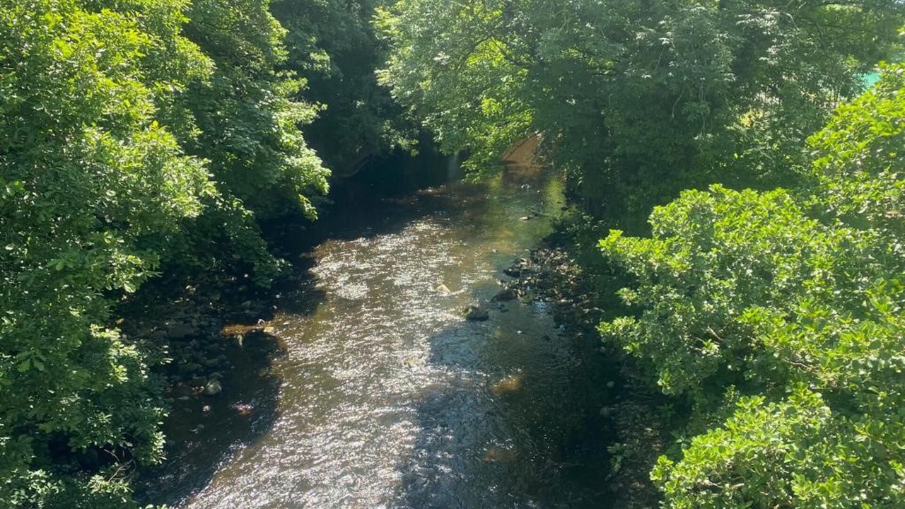 Photo of Others in Summerbridge