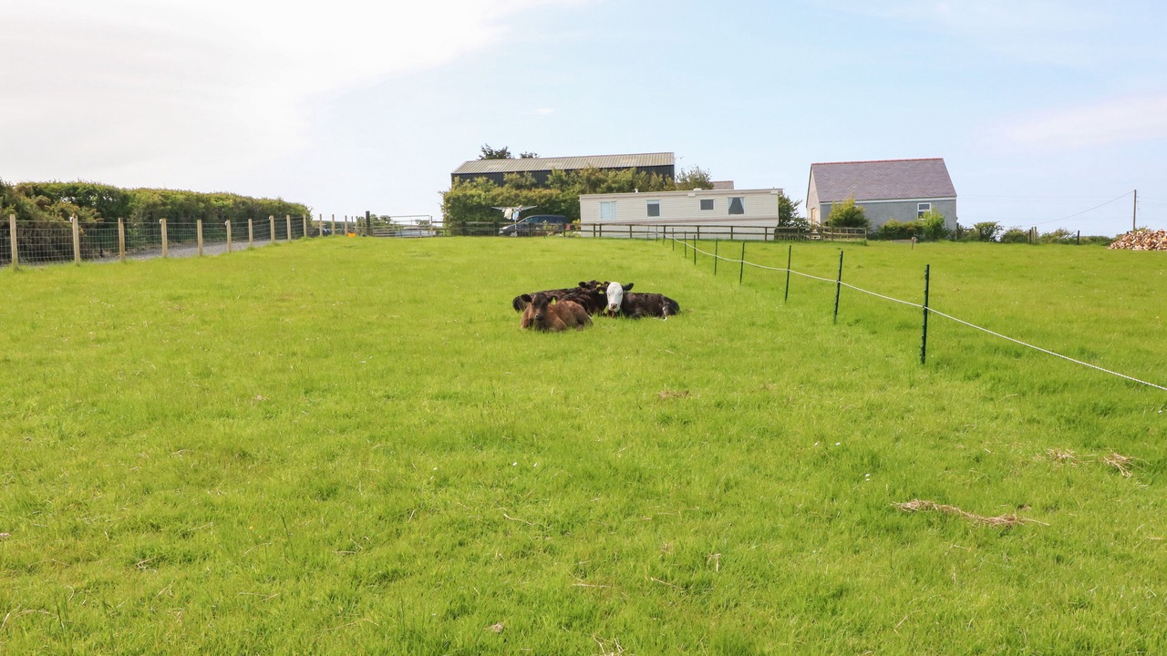 Photo of Others in Llanfachraeth