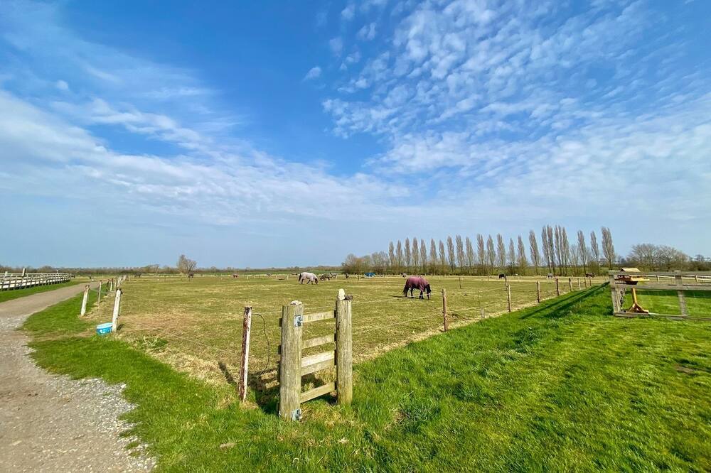 Photo of Others in Faringdon