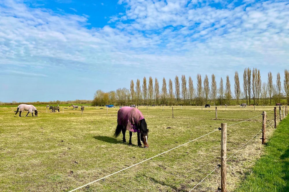 Photo of Others in Faringdon