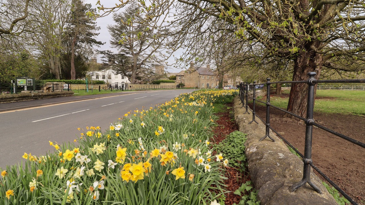 Photo of Others in Ripley